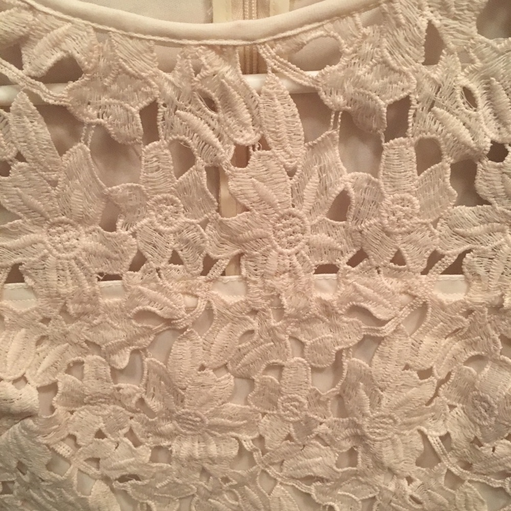 Lace Dress - Picture 5 of 6
